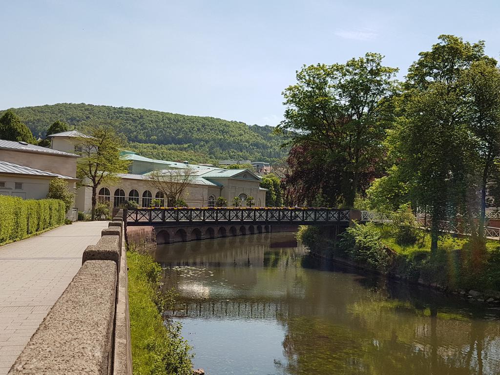 Ferienwohnung Maria - Bad Kissingen Exteriör bild
